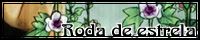 A banner for the site Rodo de Estrela