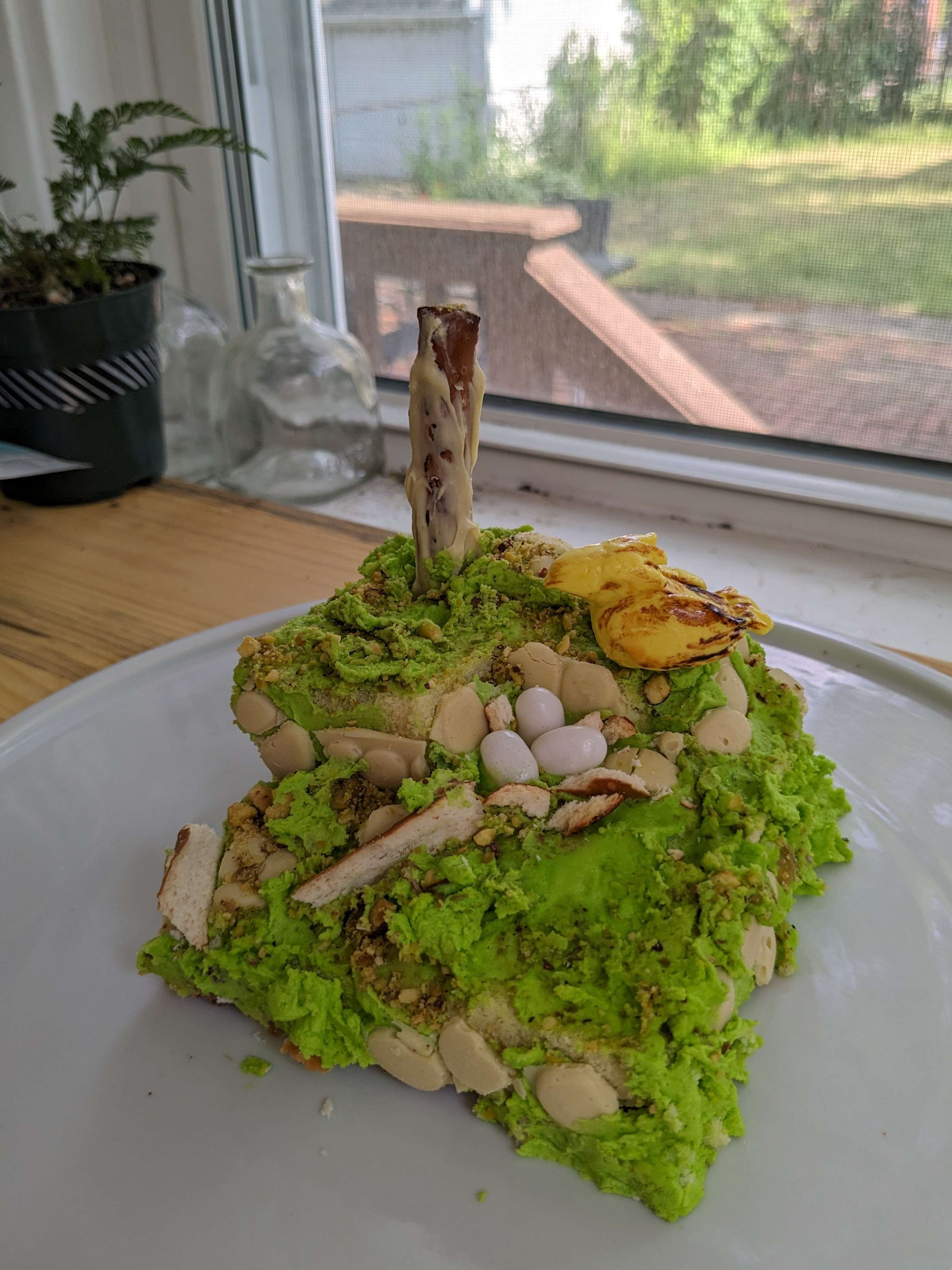 A cake in the shape of Araguay Woods, with Boco overlooking a nest of eggs